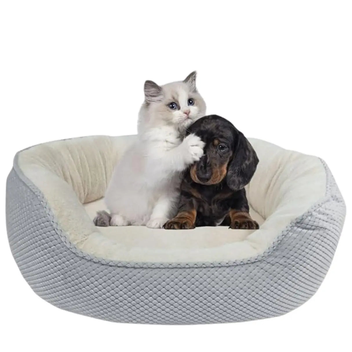 Loyalpaws Medium Orthopedic Memory Foam Pet Bed for Cats and Dogs, Washable with Non-Slip Base