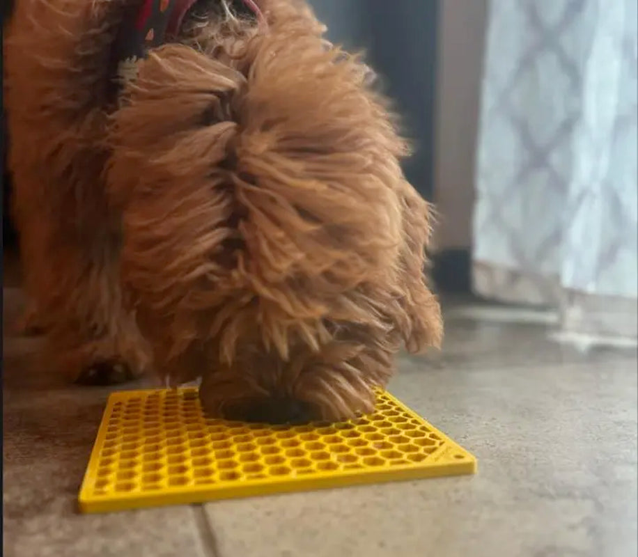 Honeycomb Non-Slip Lick Mat for Dog Enrichment and Bath Time Activities, Decorative Placemat Coasters