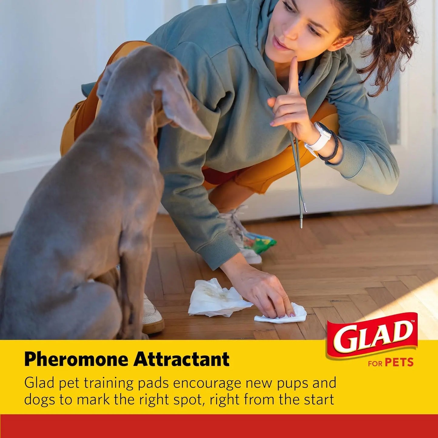 Glad for Pets Charcoal All-In-One Puppy Training Pads - Instant Urine Absorption and Neutralization - 14 Count