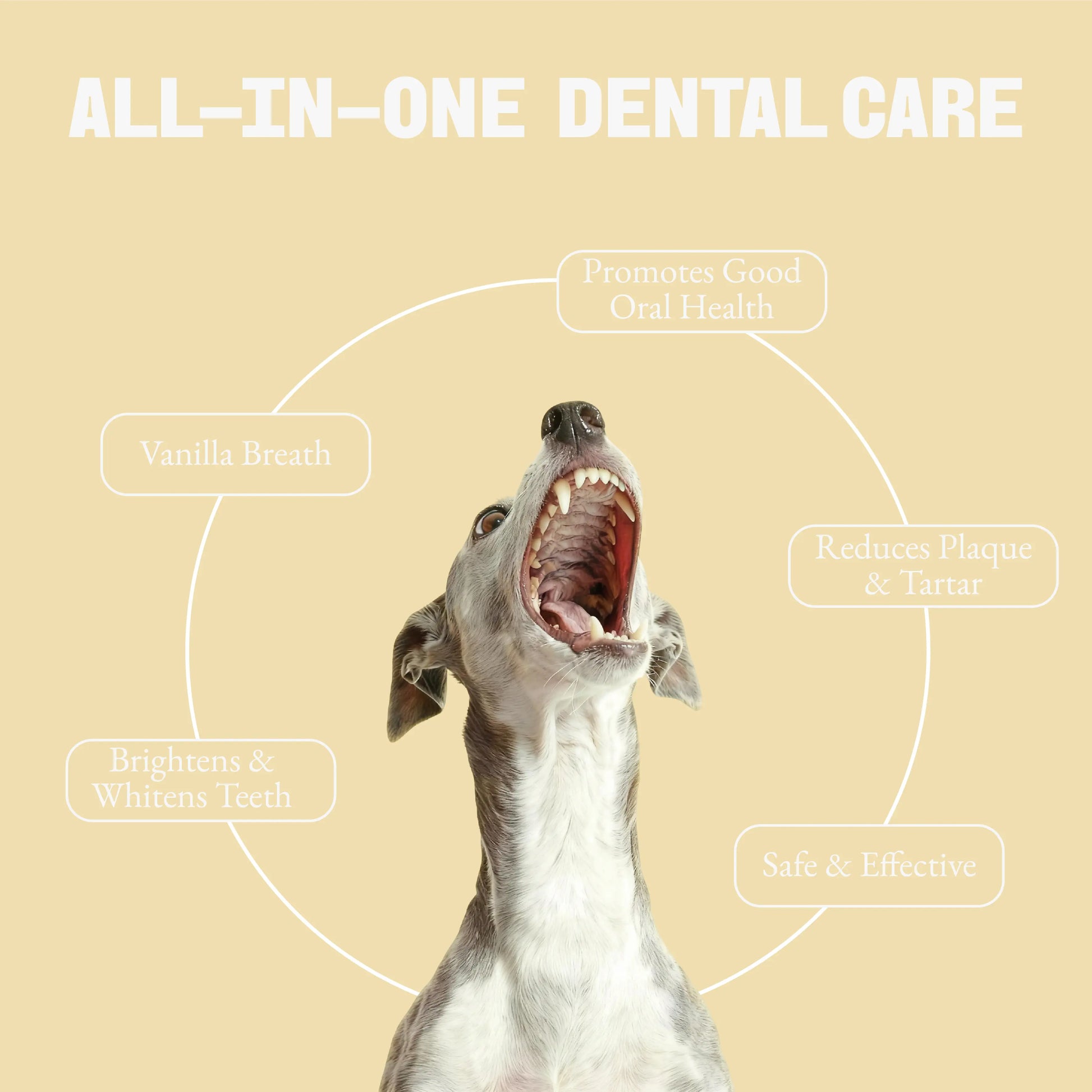 Pet Dental Care Kit - Includes 3-Headed Toothbrush, Finger Brush, and Natural Vanilla Flavor Toothpaste in a Convenient Storage Box for Cats and Dogs