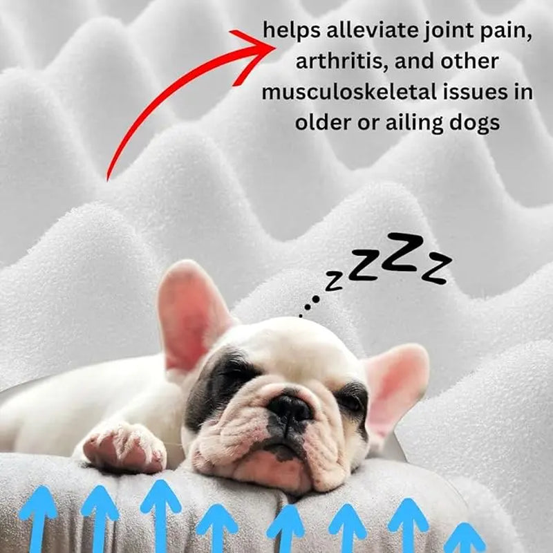 Loyalpaws Medium Orthopedic Memory Foam Pet Bed for Cats and Dogs, Washable with Non-Slip Base