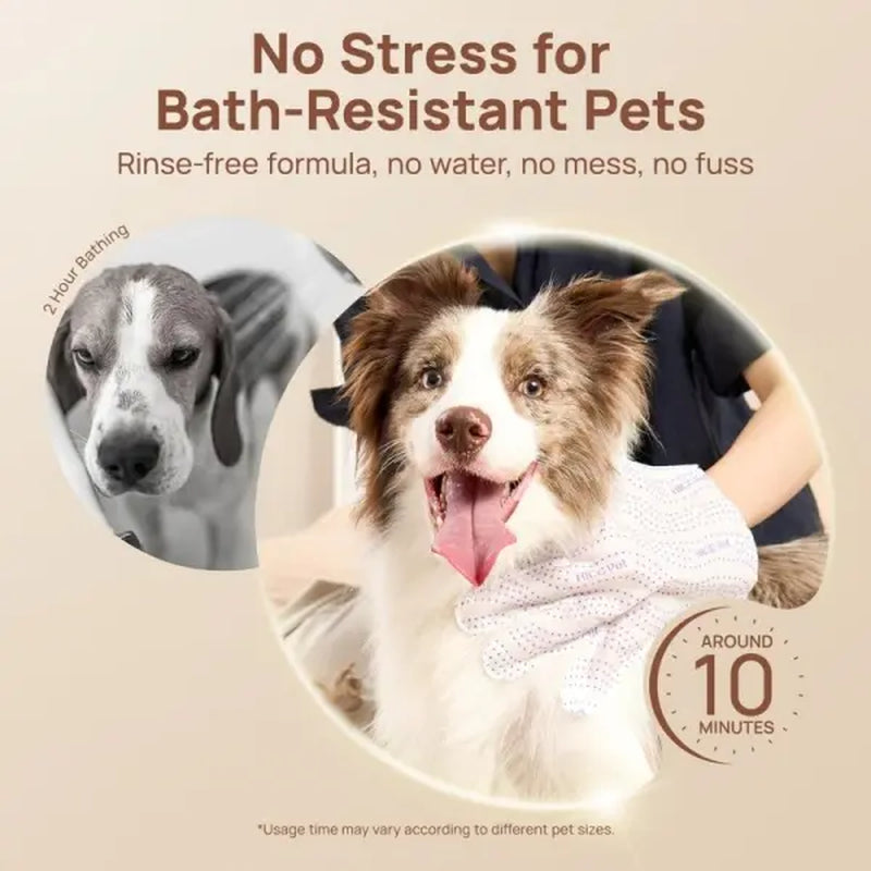 20-Count Pet Wipes Gloves – Rinse-Free, Convenient Hygiene Solution for Dogs and Cats, Safe and Gentle Formula