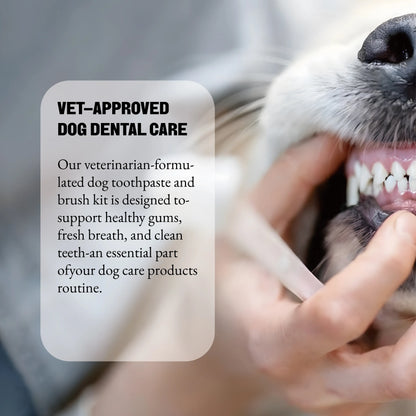 Pet Dental Care Kit - Includes 3-Headed Toothbrush, Finger Brush, and Natural Vanilla Flavor Toothpaste in a Convenient Storage Box for Cats and Dogs
